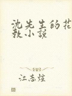 沈先生的花式调教小说