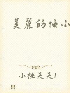美丽的他小说