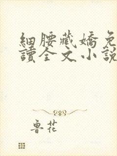 细腰藏娇免费阅读全文小说苏珞浅