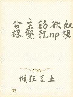 公主的欲奴h四根双龙np视频