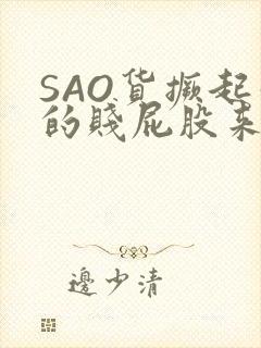 SAO货撅起你的贱屁股来