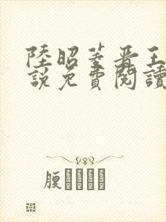 陆昭菱晋王的小说免费阅读封面