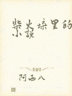 柴火垛里的疯狂小说