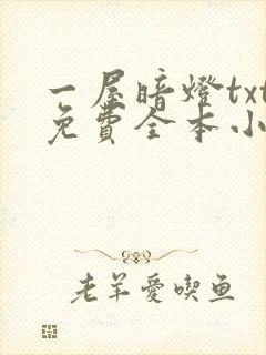 一屋暗灯txt免费全本小说电子书