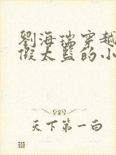 刘海瑞穿越后宫假太监的小说