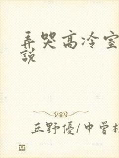 弄哭高冷室友小说