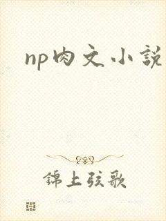 np肉文小说