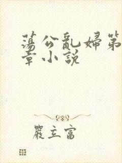 荡公乱妇第51章小说