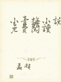 小青梅小说全文免费阅读