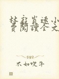 林毅肖远小说免费阅读全文最新章节