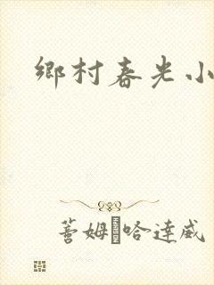 乡村春光小说