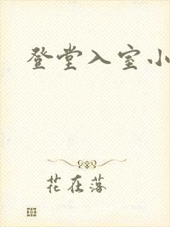登堂入室小说