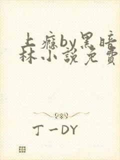 上瘾by黑暗森林小说免费