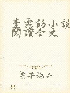 李霖的小说免费阅读全文