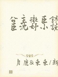 公主微臣馋了微臣沈妤小说