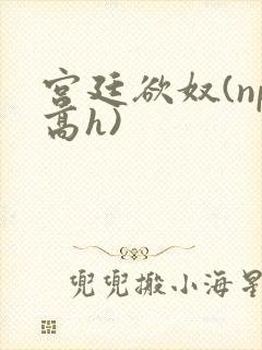 宫廷欲奴(np高h)