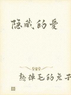 隐藏的爱