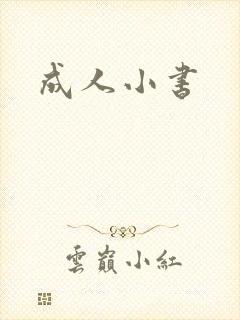成人小书