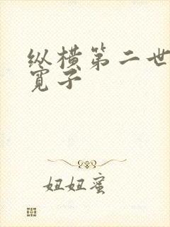 纵横第二世界 宽子
