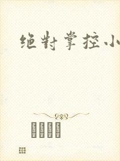 绝对掌控小说