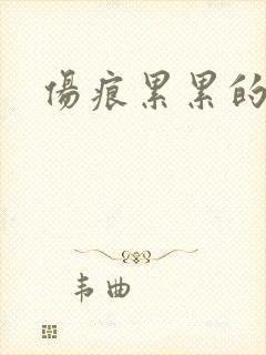 伤痕累累的勋章