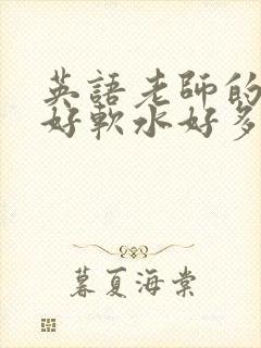 英语老师的兔子好软水好多