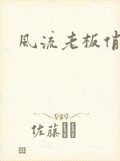 风流老板俏秘书