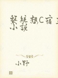 系统想C宿主的小说