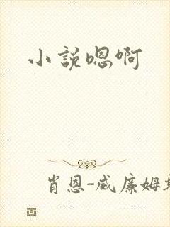 小说嗯啊
