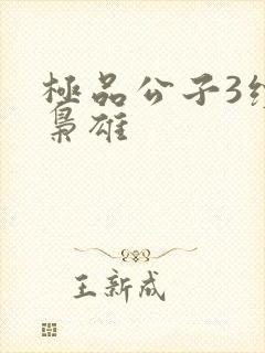 极品公子3续世枭雄