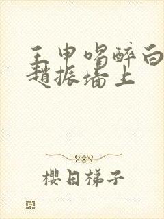 王申喝醉白洁被赵振墙上
