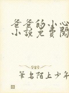 爸爸的小心肝儿小说免费阅读