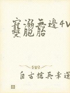 宠溺无边4V2双胞胎