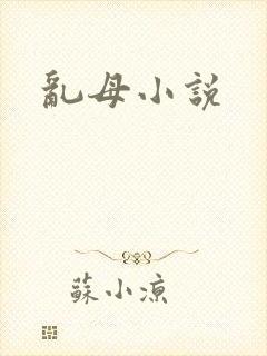 乱母小说