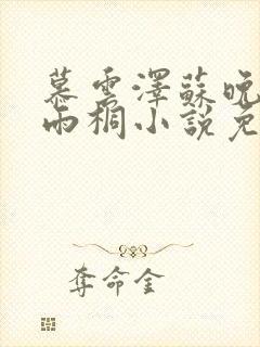 慕云泽苏晚晴夏雨桐小说免费阅读