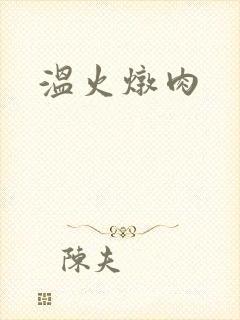 温火炖肉封面