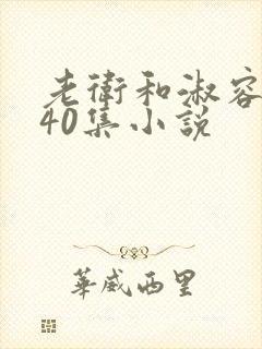 老卫和淑容1-40集小说