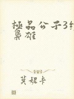 极品公子3续世枭雄