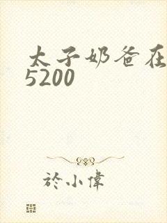 太子奶爸在花都5200