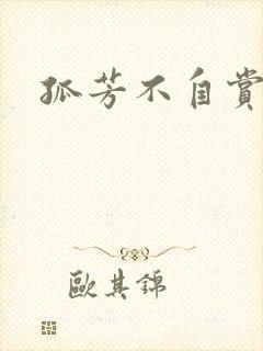 孤芳不自赏小说