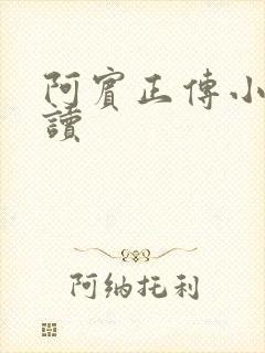 阿宾正传小说在读