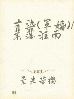 有染(军婚)/叶落淮南