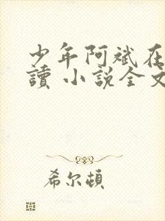 少年阿斌在线阅读 小说全文免费