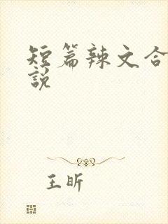 短篇辣文合集小说