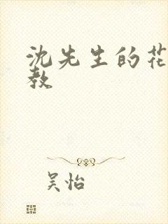 沈先生的花式调教