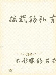 总裁的私有宝贝