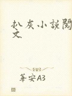 扒灰小说阅读全文