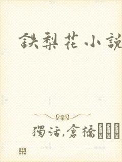 铁梨花小说