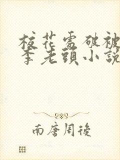 校花处破被灌满李老头小说