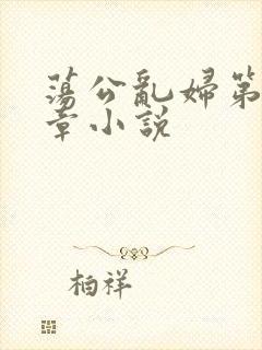 荡公乱妇第51章小说